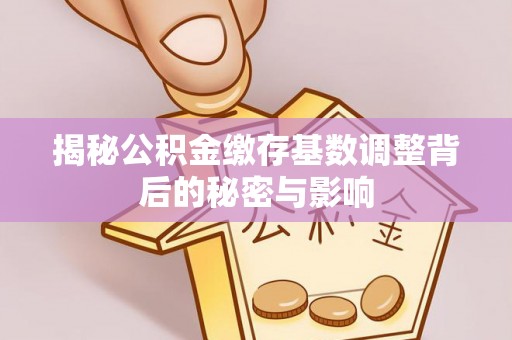 织金揭秘公积金缴存基数调整背后的秘密与影响