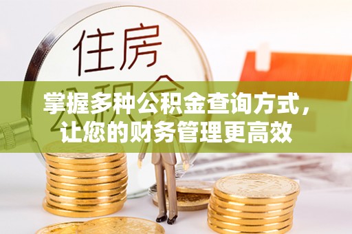 织金掌握多种公积金查询方式，让您的财务管理更高效