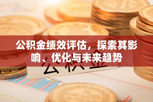 织金公积金绩效评估，探索其影响、优化与未来趋势