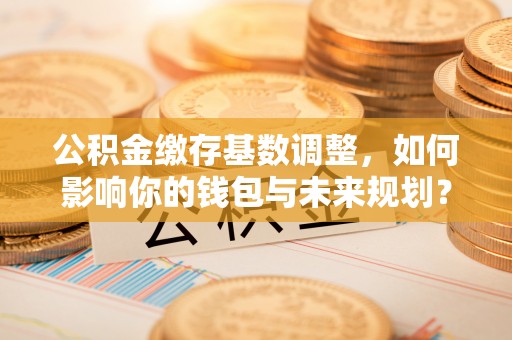 织金公积金缴存基数调整，如何影响你的钱包与未来规划？