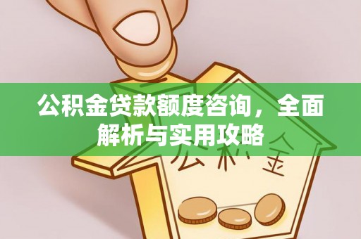 织金公积金贷款额度咨询，全面解析与实用攻略