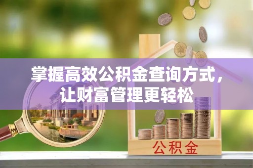 织金掌握高效公积金查询方式，让财富管理更轻松