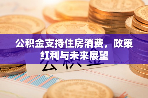 织金公积金支持住房消费，政策红利与未来展望