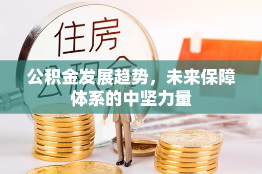 织金公积金发展趋势，未来保障体系的中坚力量