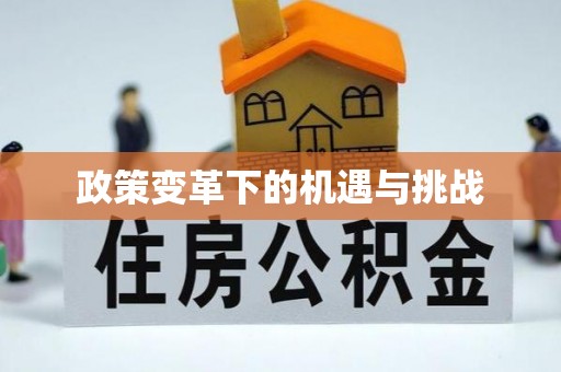 织金政策变革下的机遇与挑战