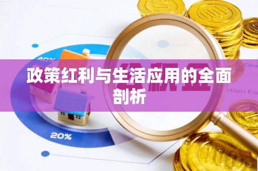 织金政策红利与生活应用的全面剖析