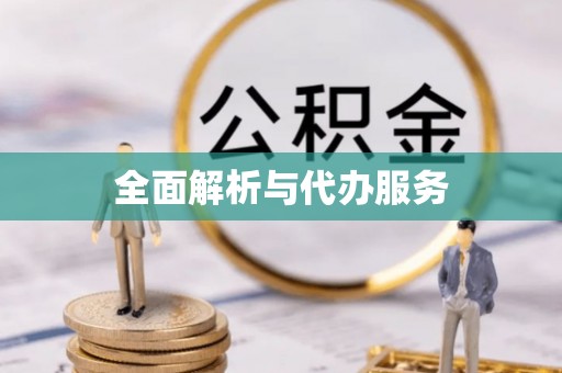 织金全面解析与代办服务