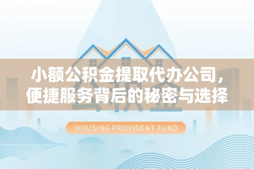 织金小额公积金提取代办公司，便捷服务背后的秘密与选择指南