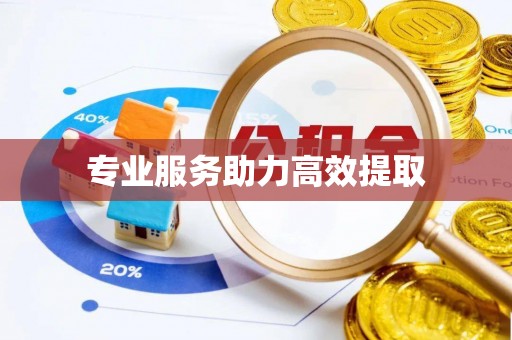 织金专业服务助力高效提取