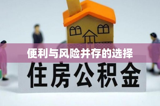 织金便利与风险并存的选择