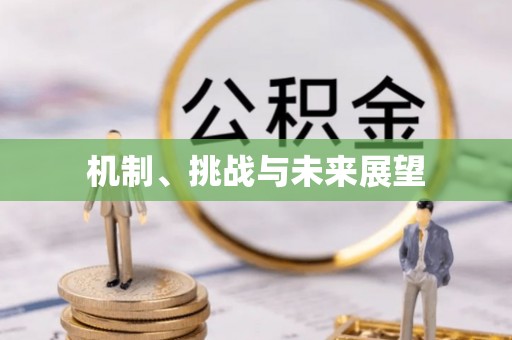 织金机制、挑战与未来展望