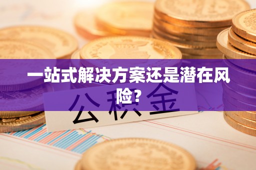 织金一站式解决方案还是潜在风险？