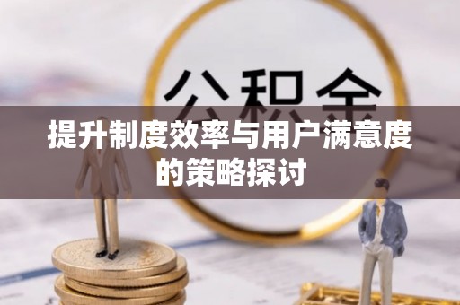 织金提升制度效率与用户满意度的策略探讨